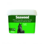 Seaweed morské riasy
