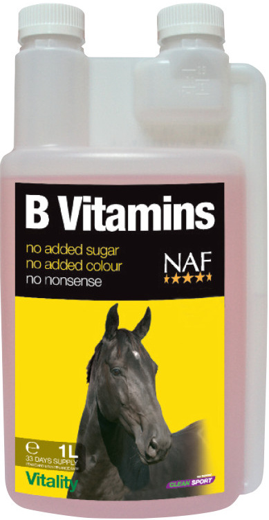 B vitamins pre sústredenosť a celkovú vitalitu koní | ProHorse.sk