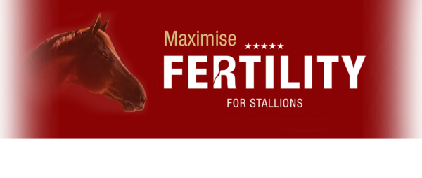 Fertility pre výkonné plemenné žrebce | ProHorse.sk