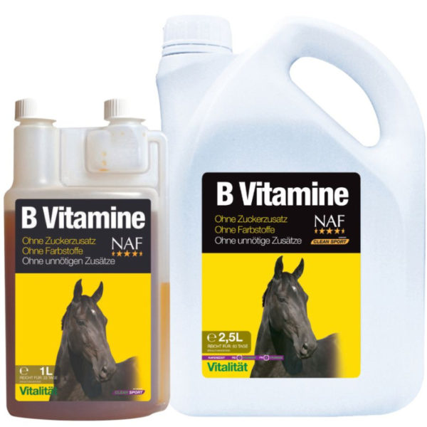 B vitamins pre sústredenosť a celkovú vitalitu koní | ProHorse.sk