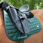 Atlantis-Dressage-Saddle-Pad-Green2_197fbd75-d464-4b2a-86e8-46fd9eb1a1a3-964402_768x