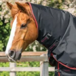 Buster-250-Turnout-Rug-Black-2_768x