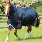 Buster-250-Turnout-Rug-Navy-1_1600x