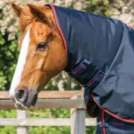 Buster-250-Turnout-Rug-Navy-2_1600x