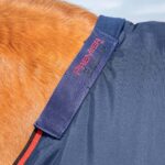 Buster-250-Turnout-Rug-Navy-3_1600x