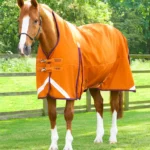 Buster-Hardy-Burnt-Orange-1_dbbd5f58-5465-4132-945f-3b488f704bb0-595223_768x