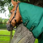 Buster-Storm-220-with-Classic-Neck-Green_1600x