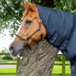 Buster-Storm-220-with-Classic-Neck-Navy_768x