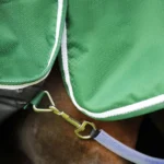 Hydra-Stable-Rug-200-Green-5-282114_1600x