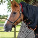 Titan-Storm-450-Turnout-Rug-Black-2_1600x