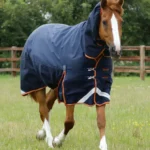 Titan-Storm-450-Turnout-Rug-Navy-1-431895_768x
