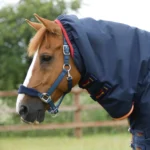 Titan-Storm-450-Turnout-Rug-Navy-2_768x