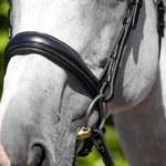 Verdura-Anatomic-Snaffle-Bridle-Black-3_1600x