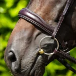 Verdura-Anatomic-Snaffle-Bridle-Brown-2-668417_768x