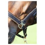 31006700_jet-black-4