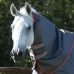 Buster-50-Turnout-Rug-Grey-3_1054ffd4-4d79-4653-92a5-6078601b70ce_768x