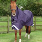 stratus-1200-series-0g-turnout-rug-with-classic-neck-cover-purple-1_2048x