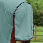bug-buster-with-detachable-neck-and-belly-flap-mint-green-6_2048x
