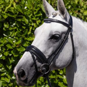 Anatomická uzdečka Castello