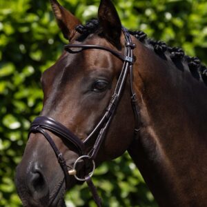 Kožená uzdečka Finetti