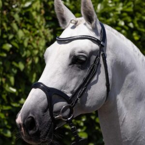 Anatomická uzdečka San Paolo