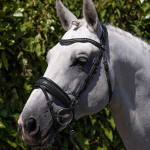 Anatomická uzdečka Veneto