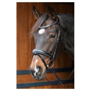 Uzdečka Petit Crystal