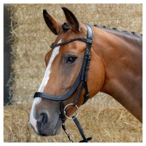 Anatomická uzdečka Black Crystal