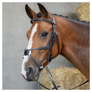 Anatomická mexická uzdečka