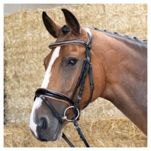 Uzdečka Black Cognac