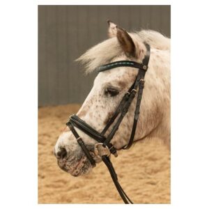 Uzdečka STOUT! Lime