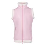 26207101_pink-dolphin-2