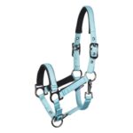 31007100_pastel-turquoise