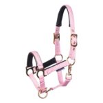 31007100_pink-dolphin