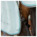 32207104_pastel-turquoise-4