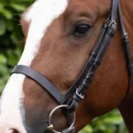 Cavesson-Noseband-for-Racing-dark-havana-2_2048x