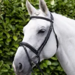 Pro-Elevator-Bridle-Black-1_2048x