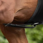 Running-Martingale-black-4_2048x