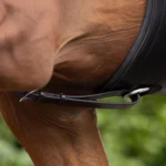 Running-Martingale-dark-havana-4_2048x