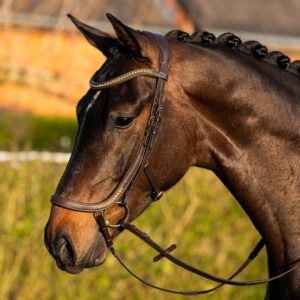 Úvod | ProHorse.sk Anatomická uzdečka Gold